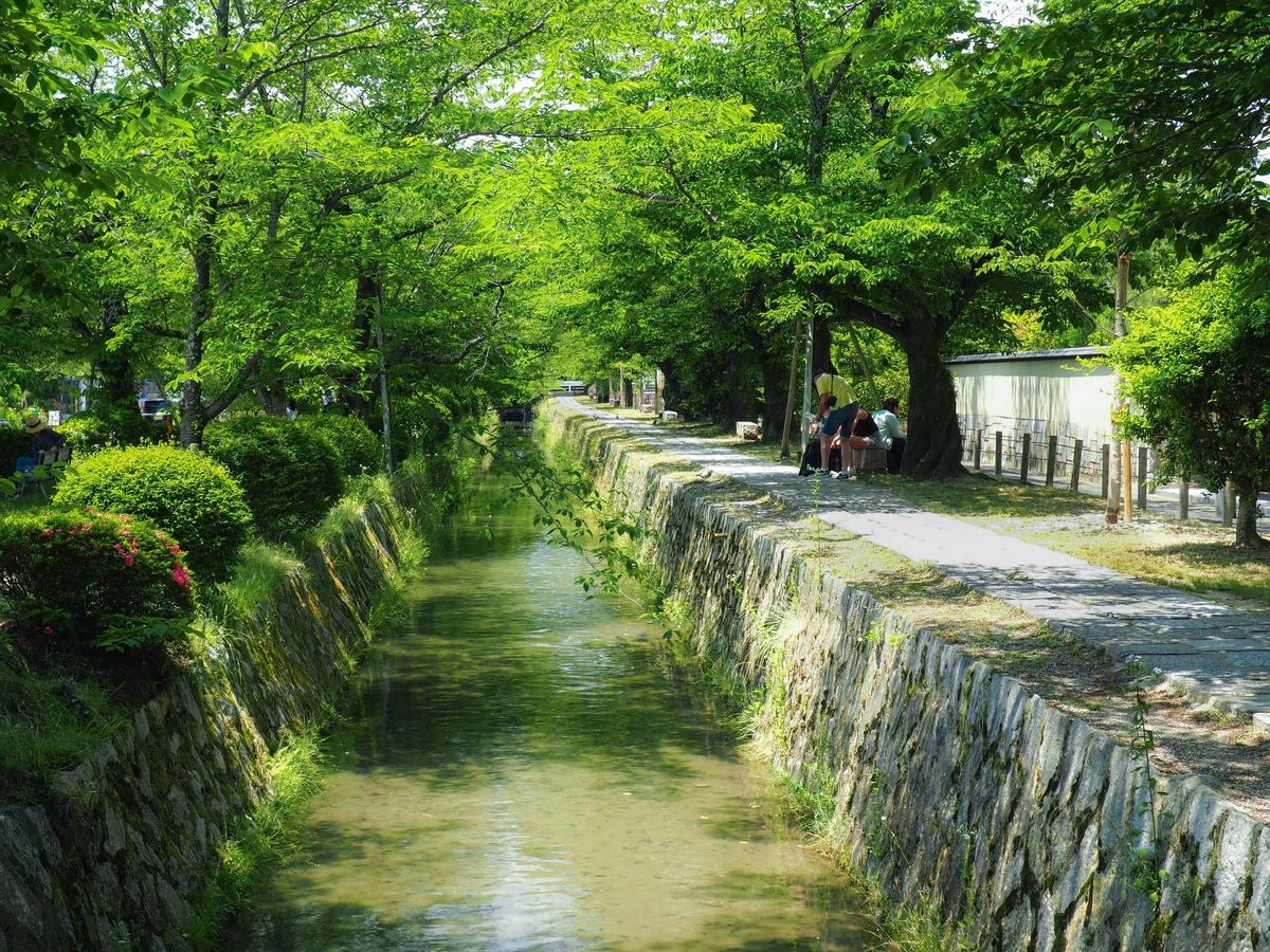 京都・哲学の道散策ルート完全解説！桜・紅葉の見頃と名所を徹底解剖