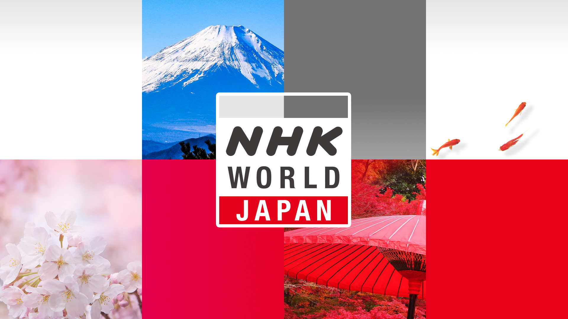 Nhk紅白歌合戦2026出場歌手一覧と落選理由！選考裏側を徹底解説