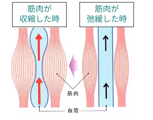 【2026最新】 筋 スパズム と は 最新画像・動画まとめ #894