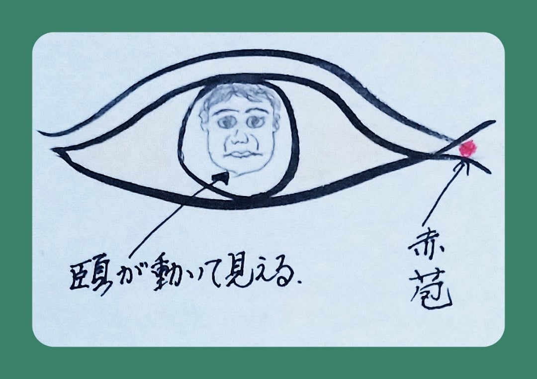 【Wiki風】 人 相 と は 話題のバズ動画・画像 #992
