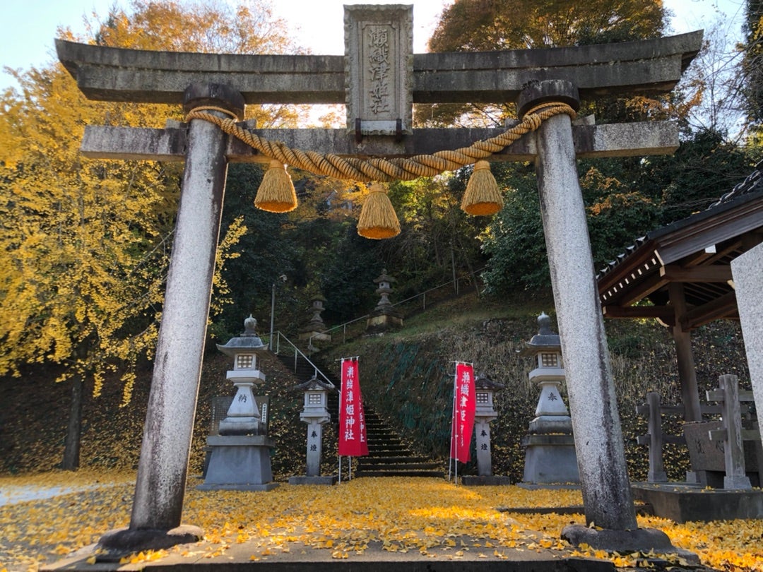 瀬織津姫を祀る神社と封印の真相｜最強パワースポットと歴史の謎