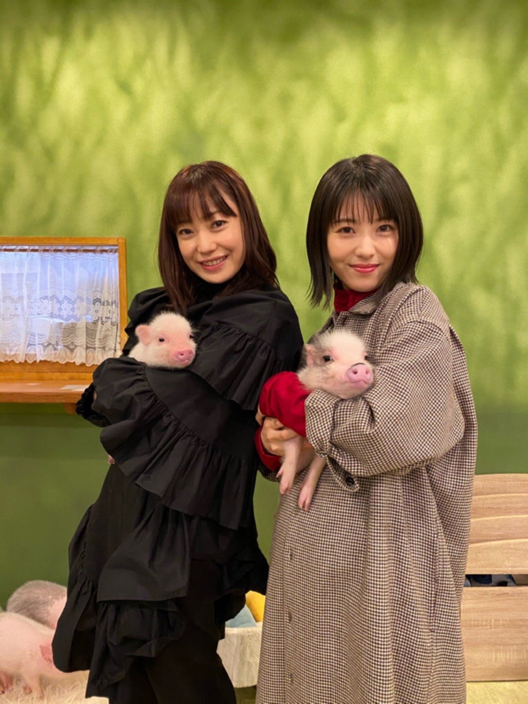 菅野美穂の子供写真は公開中？堺雅人と挑んだお受験の真相【2026最新】