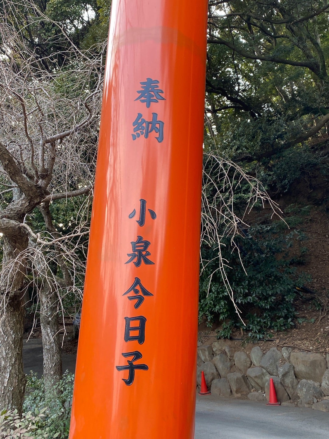 伊豆山神社に小泉今日子の鳥居？奉納理由と場所・ご利益の真相