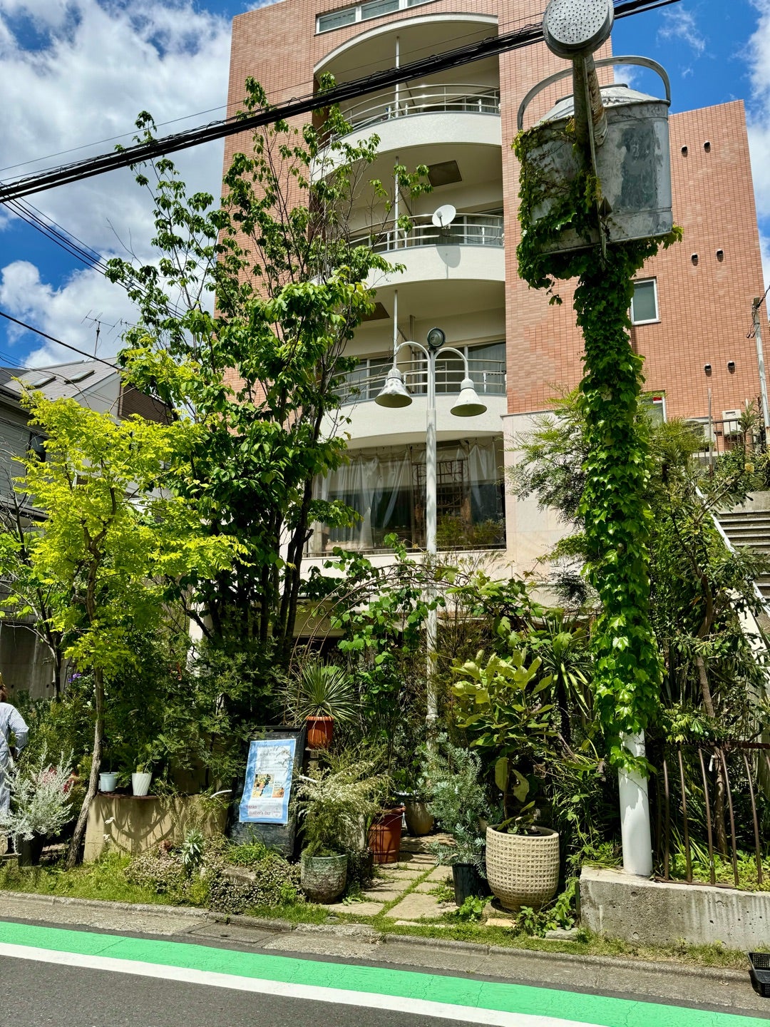 勝地涼の実家はお金持ち？自由が丘の花屋と北区の生家や家族の真相