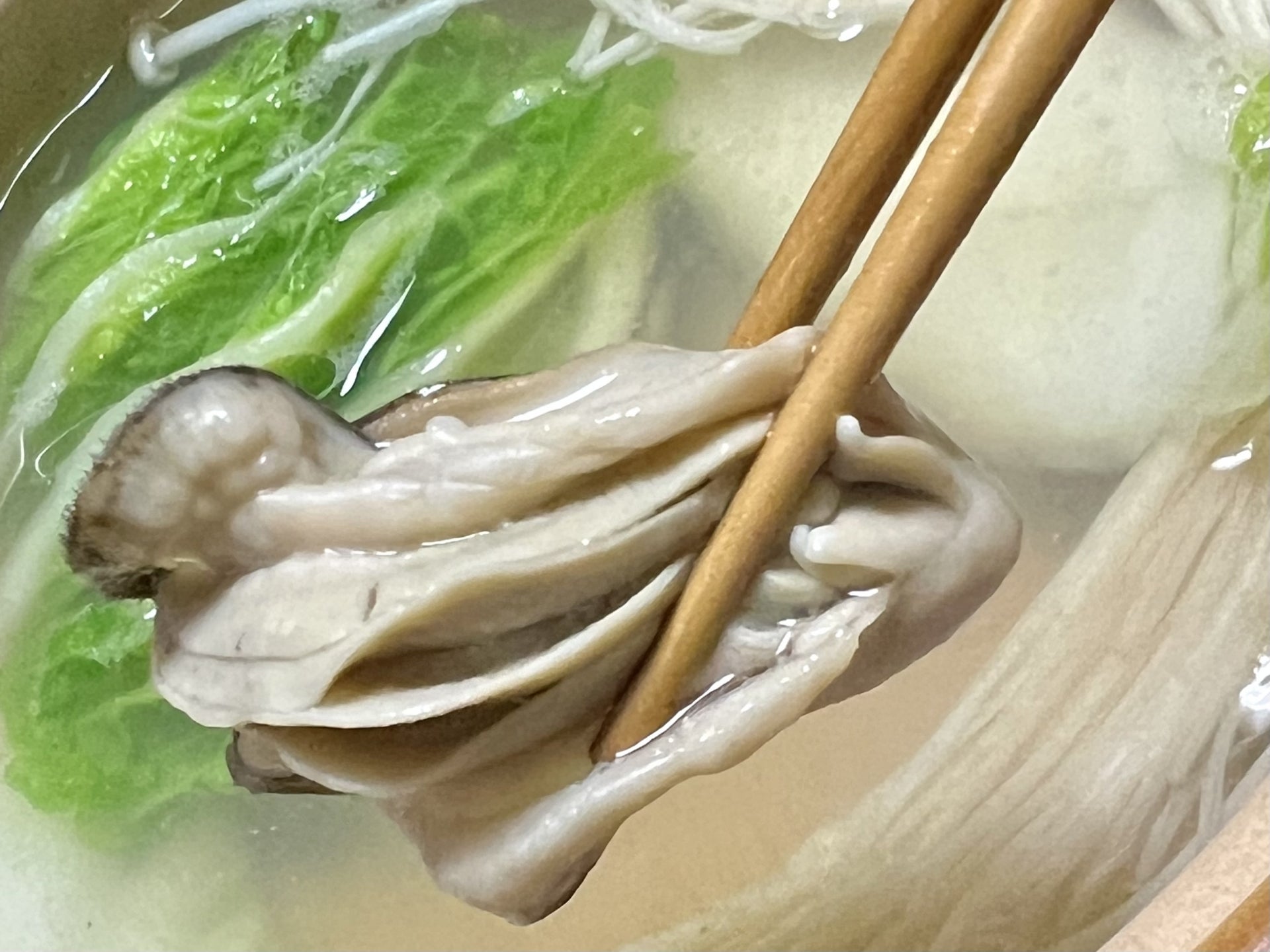 牡蠣鍋でもあたるのはなぜ？加熱しても食中毒になる理由と正しい対処法