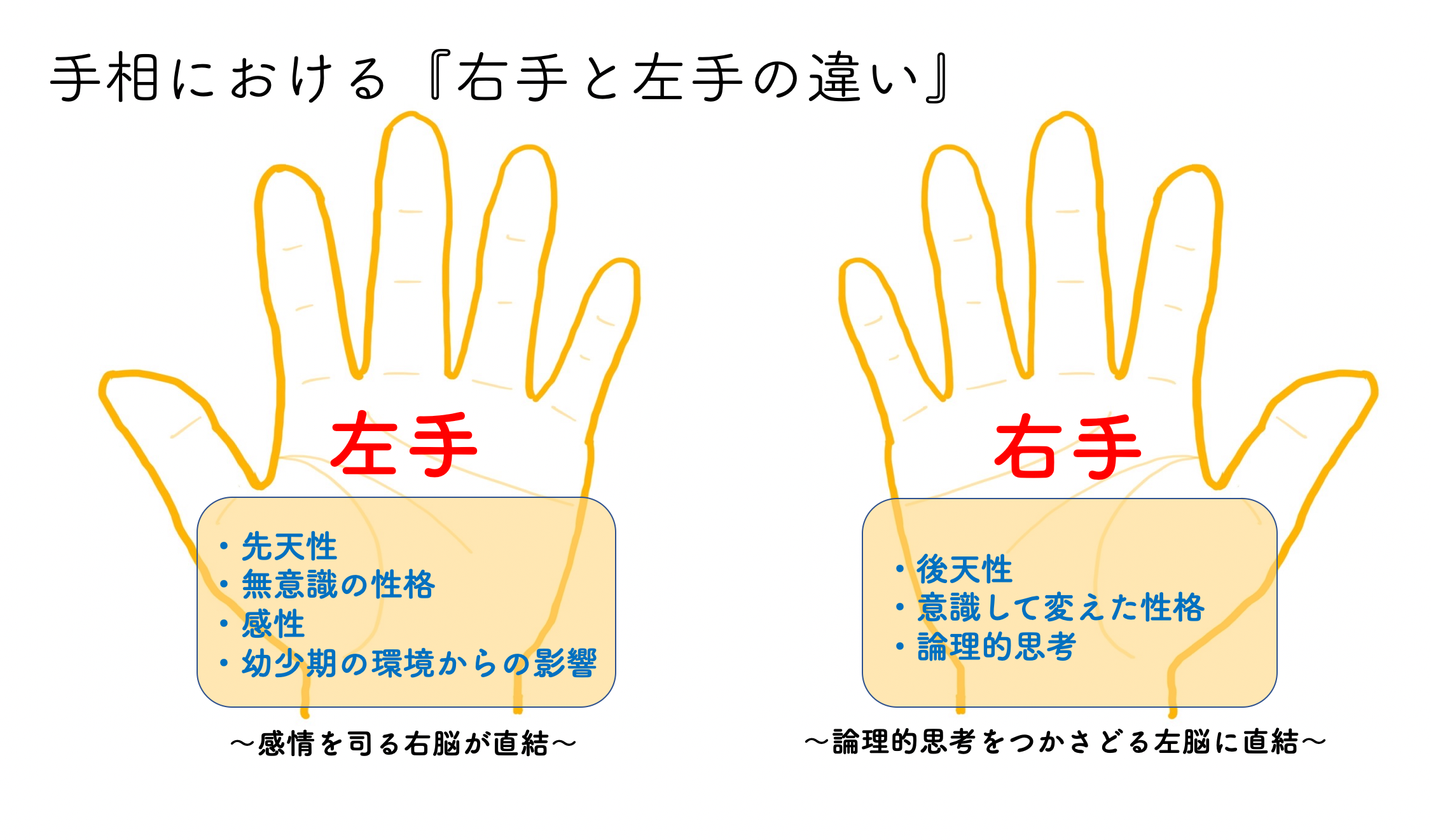 手相占いはどっちの手で見る？右手と左手の決定的な違いをプロが徹底解説！