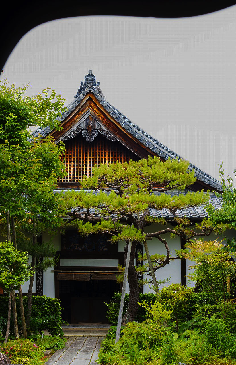 京都・妙心寺を徹底解剖！雲龍図の視線の秘密とおすすめ塔頭巡り