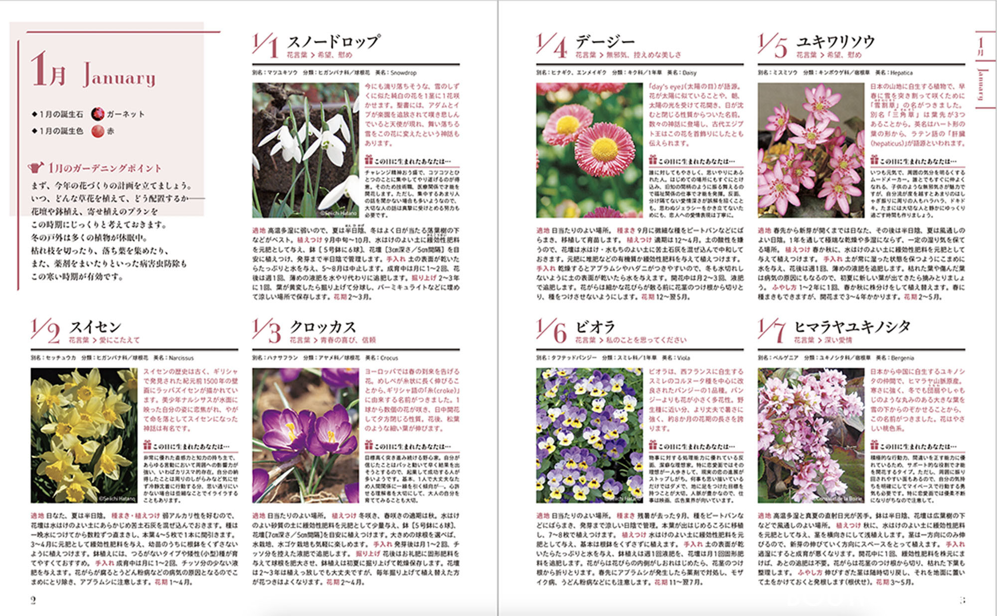 365日誕生花一覧と花言葉総まとめ！複数ある理由と怖い意味の真相