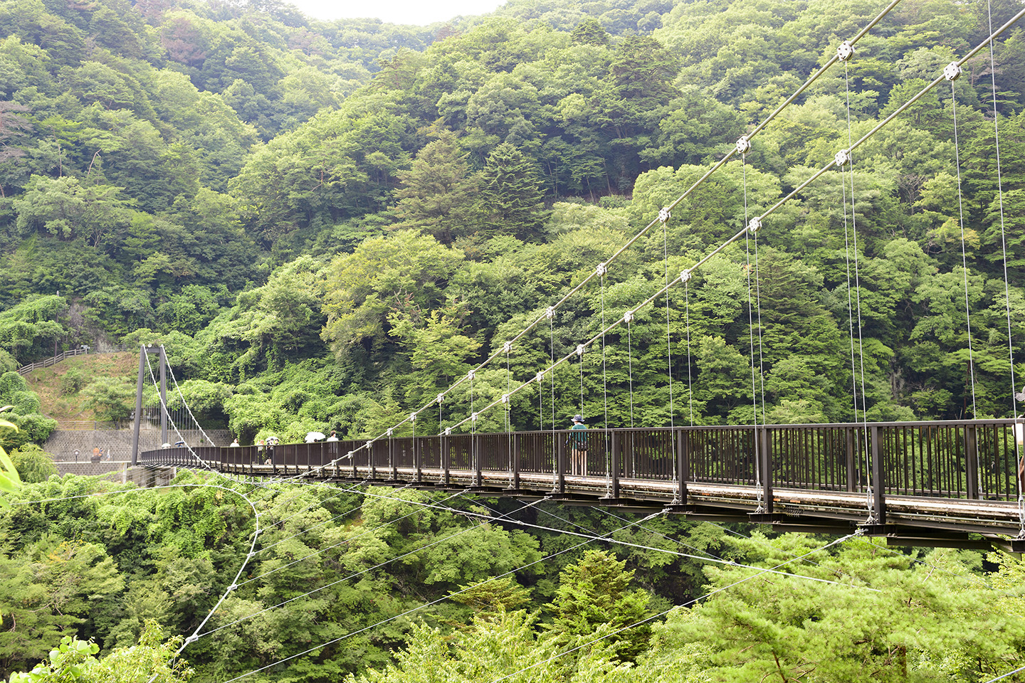 鬼怒楯岩大吊橋の怖い噂と揺れを検証｜高さ37Mの絶景と縁結びの真相