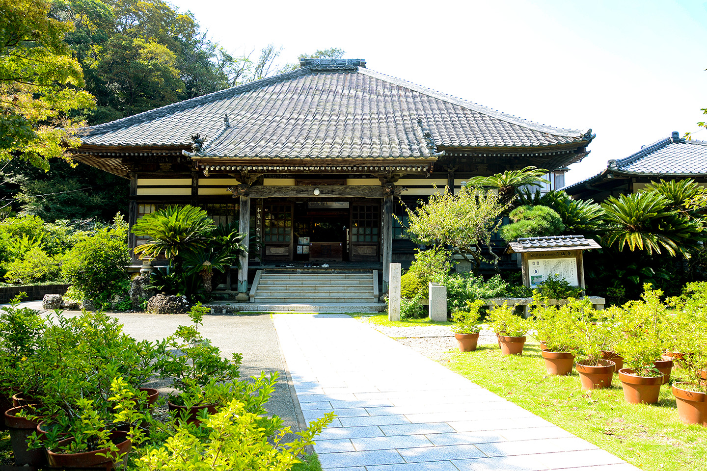 下田・了仙寺の真実！開国史跡とジャスミン咲く名刹の歩き方