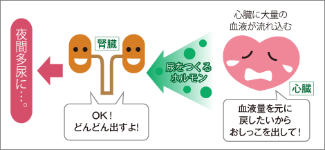 【動画まとめ】 心 因 性 頻 尿 子供 ブログ 最新出演情報まとめ #832