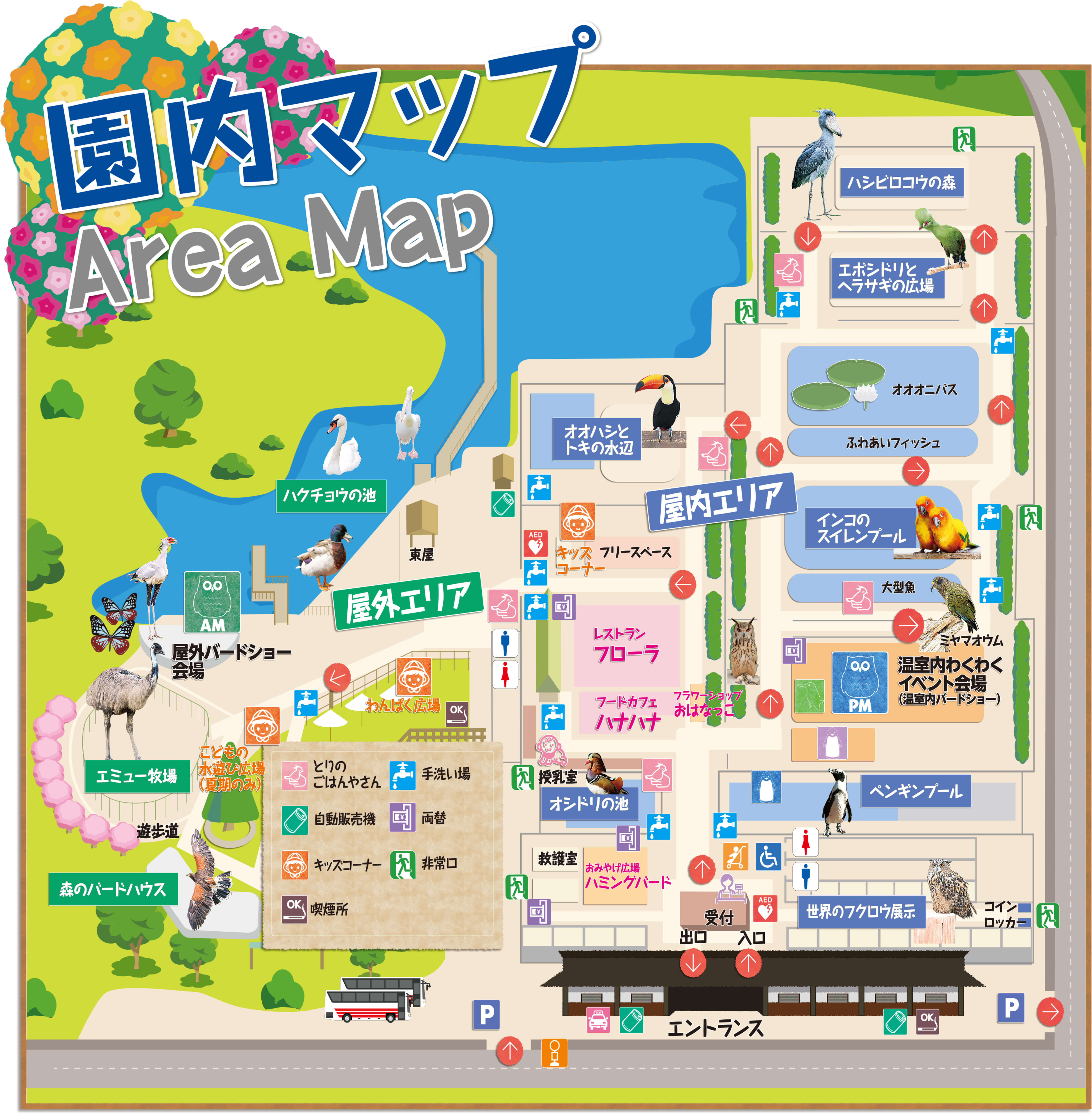 掛川花鳥園2026最新攻略！ハシビロコウふたばの現在と割引＆混雑全解説