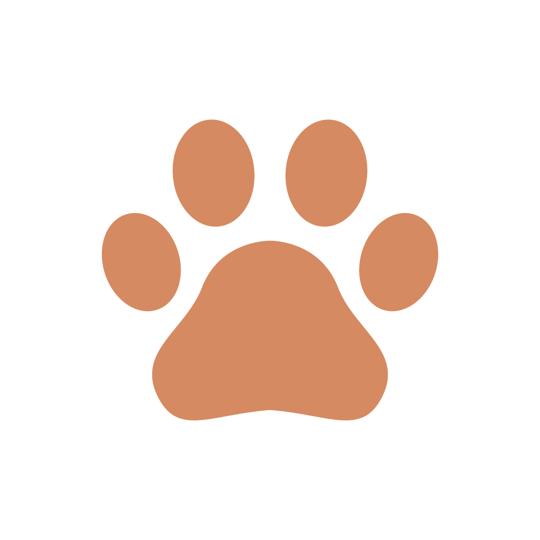 肉球イラストの描き方と無料素材徹底攻略！犬猫の違いや商用利用の注意点