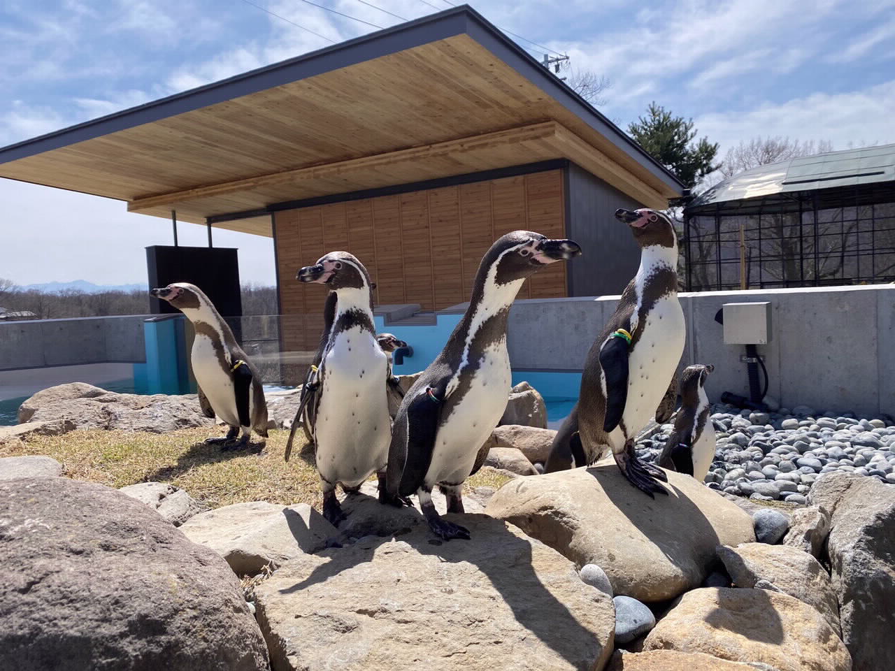 日本で2番目に古い歴史と新展示！小諸城址動物園の穴場ルート案内