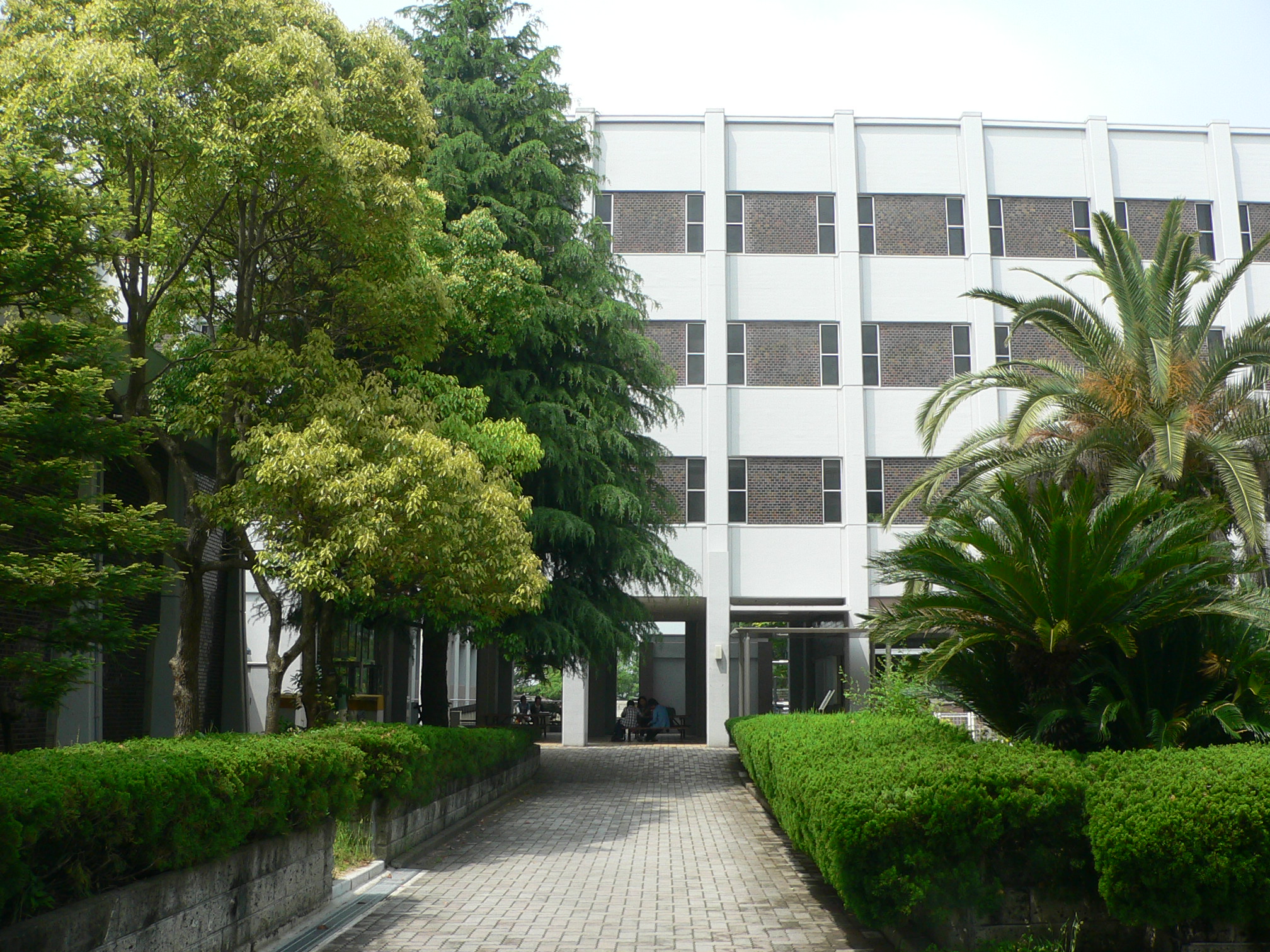 神戸大学農学部・大学院人気の真相｜難易度・院試倍率と進路のリアル