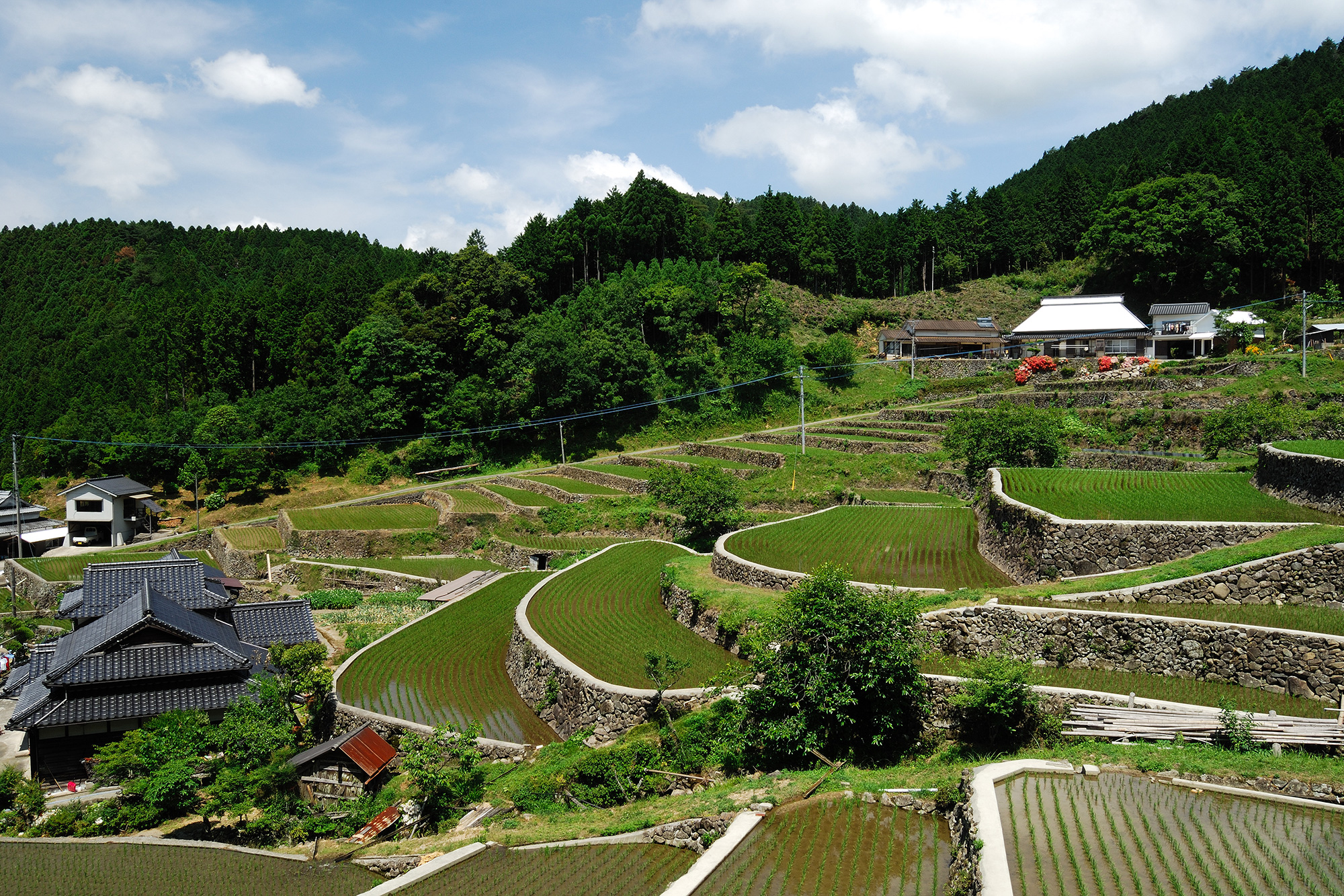 小鹿田焼の里なぜ300年続くのか？唐臼響く窯元巡りと現地の真実