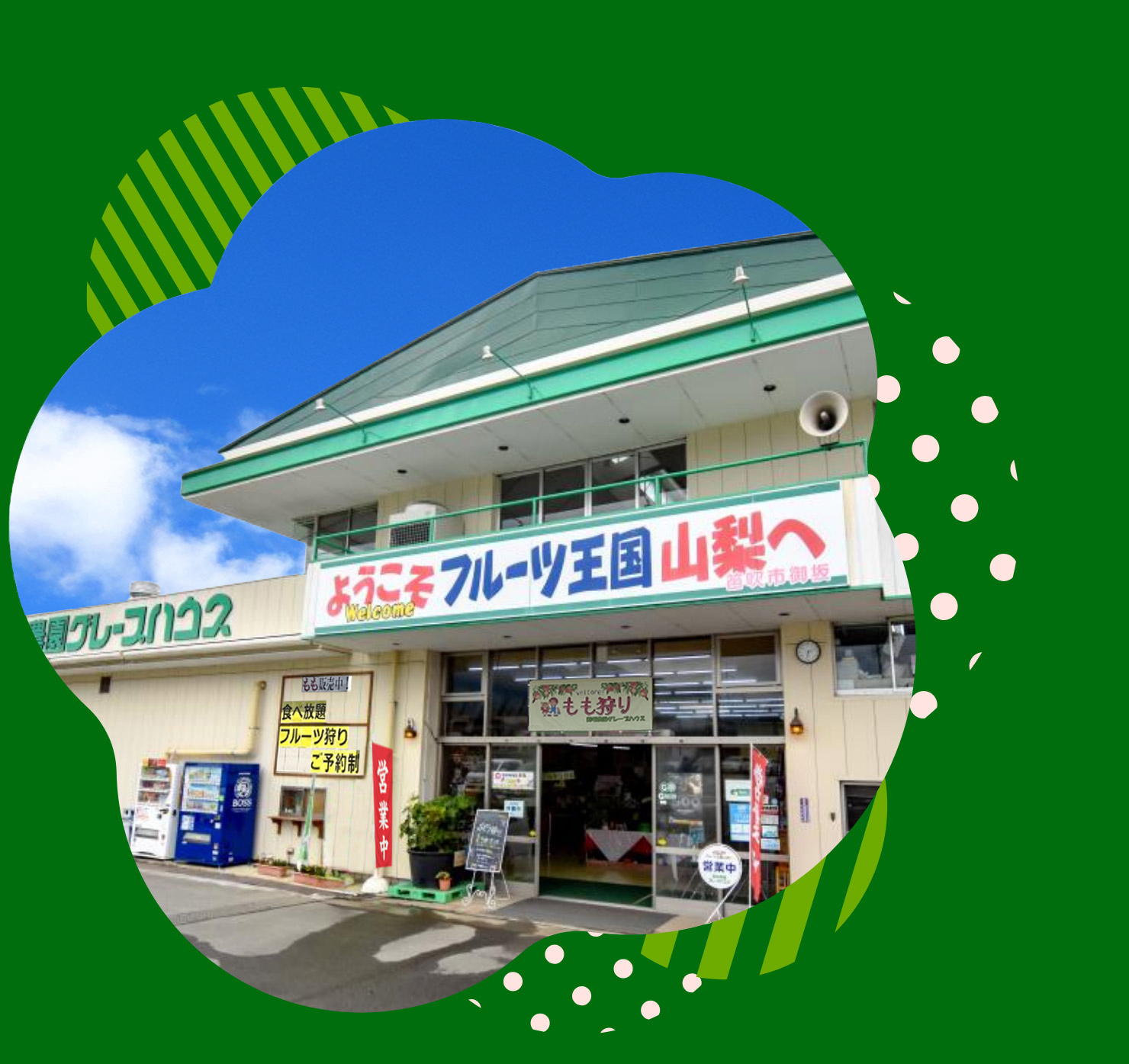御坂農園グレープハウス完全攻略｜桃・ぶどう狩り料金と口コミの真相