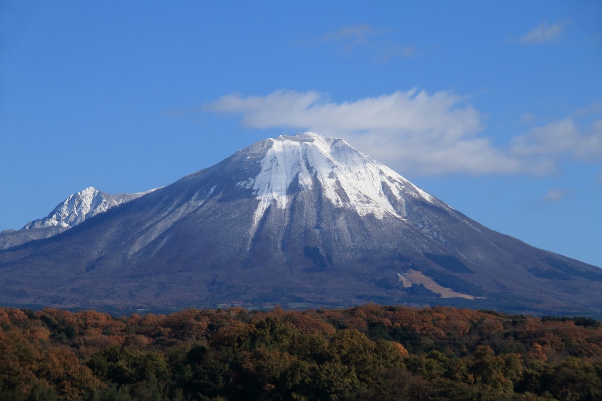 大山商店街の再開発と現在｜分断の真相から最新グルメまで徹底解説