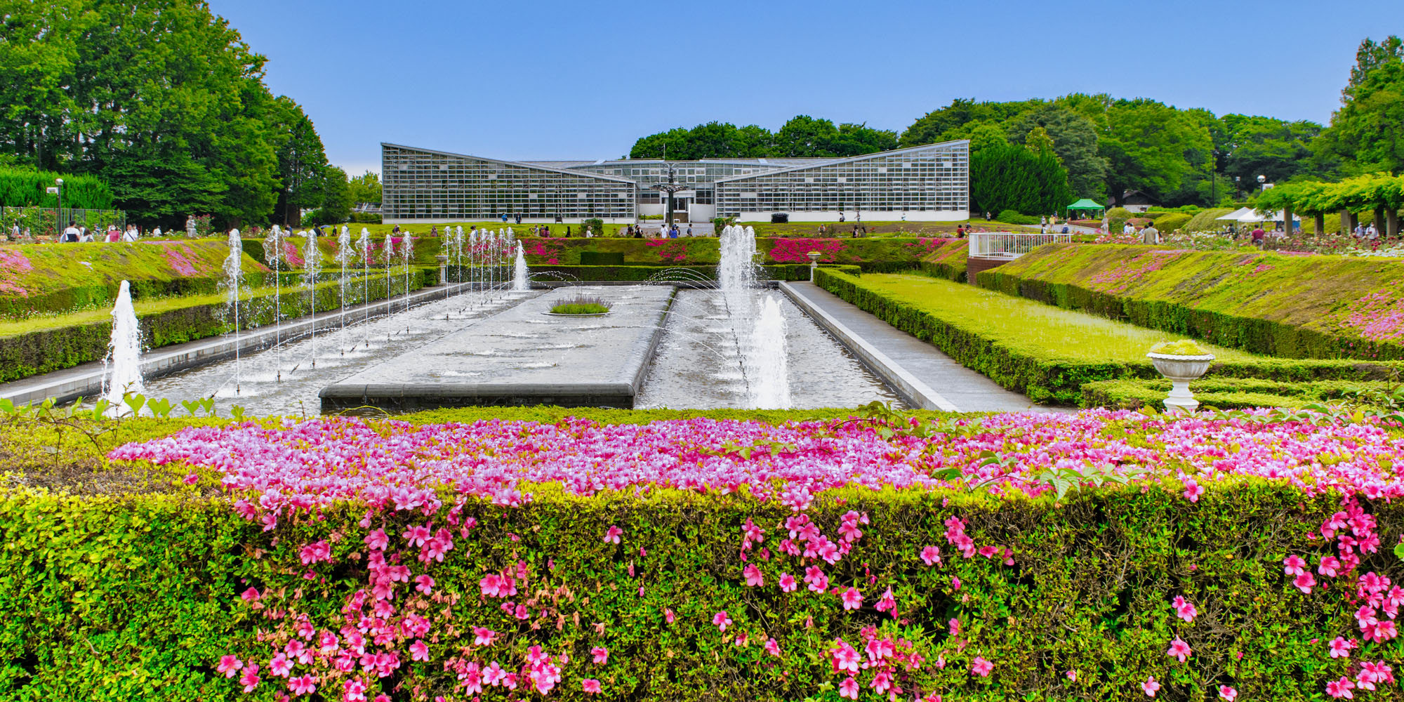 【2026】神代植物公園の魅力完全ガイド！バラの見頃と混雑回避術