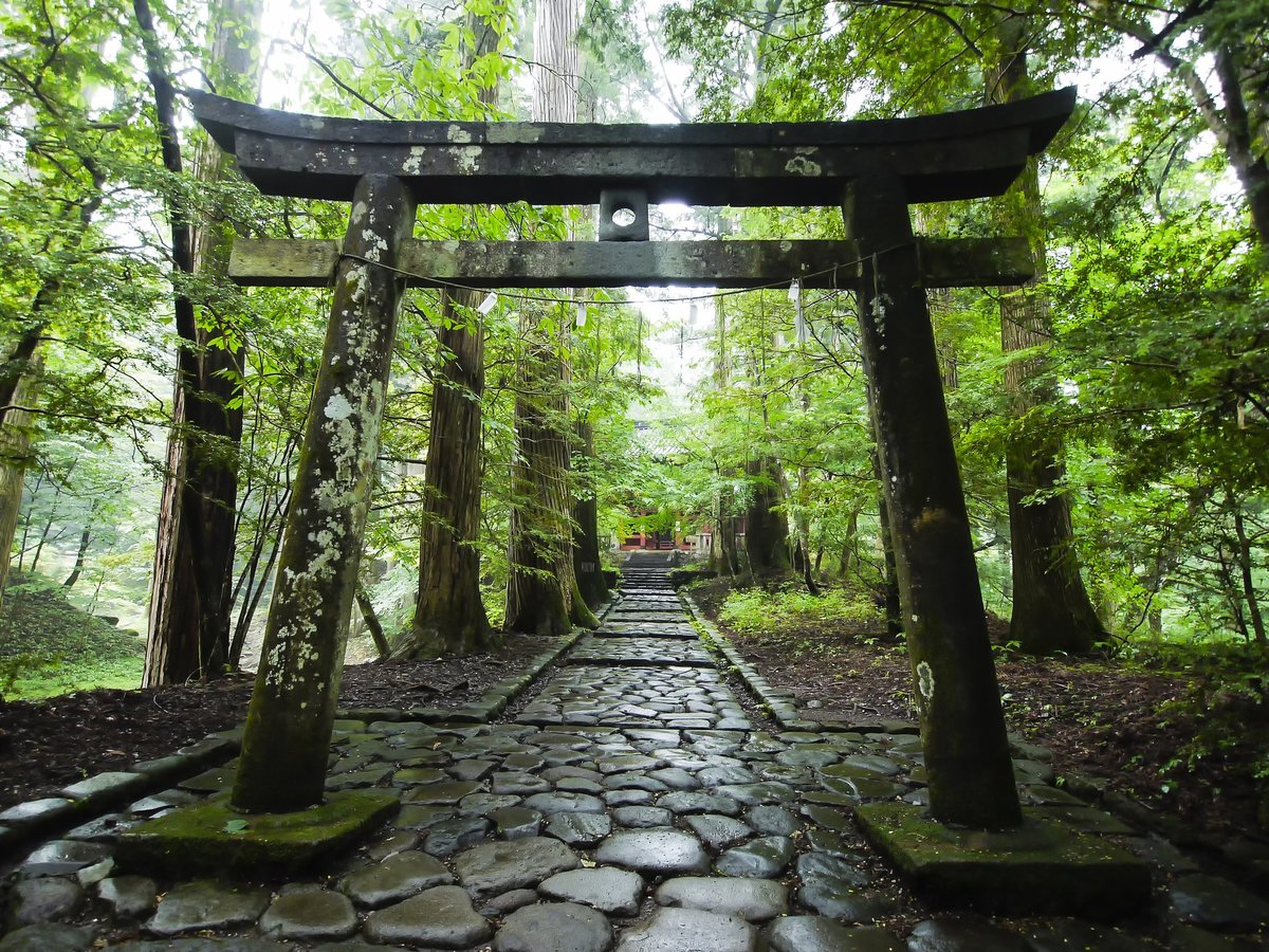 神社パワースポットで人生激変？ご利益の真相と2026最強開運術