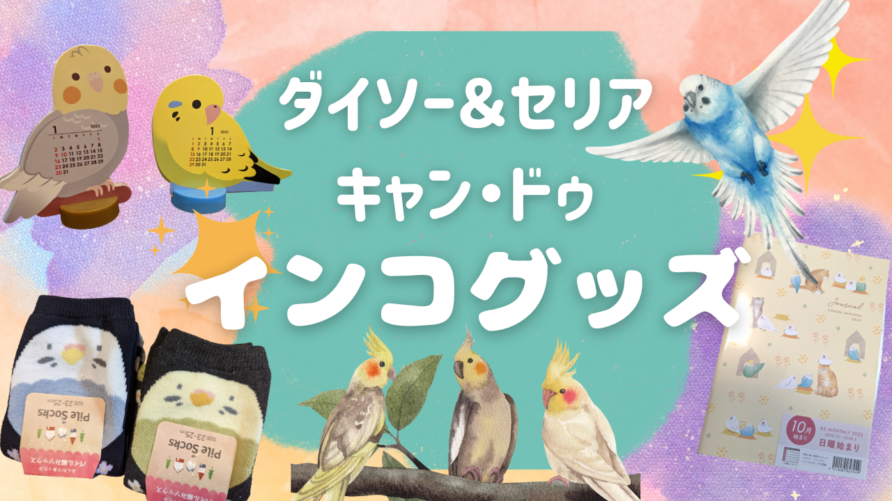 100均インコグッズは安全？ダイソー・セリアの危険性と最新おすすめ