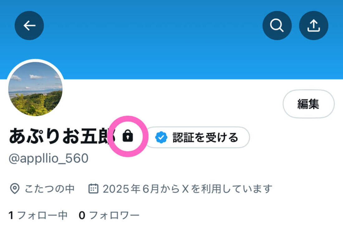 Twitter鍵垢を見る裏ワザの嘘と2026年最新の身バレ対策