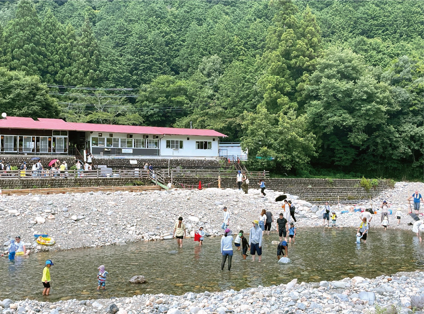 板取川の洞戸観光ヤナ完全取材！絶品鮎料理と予約・混雑の真相