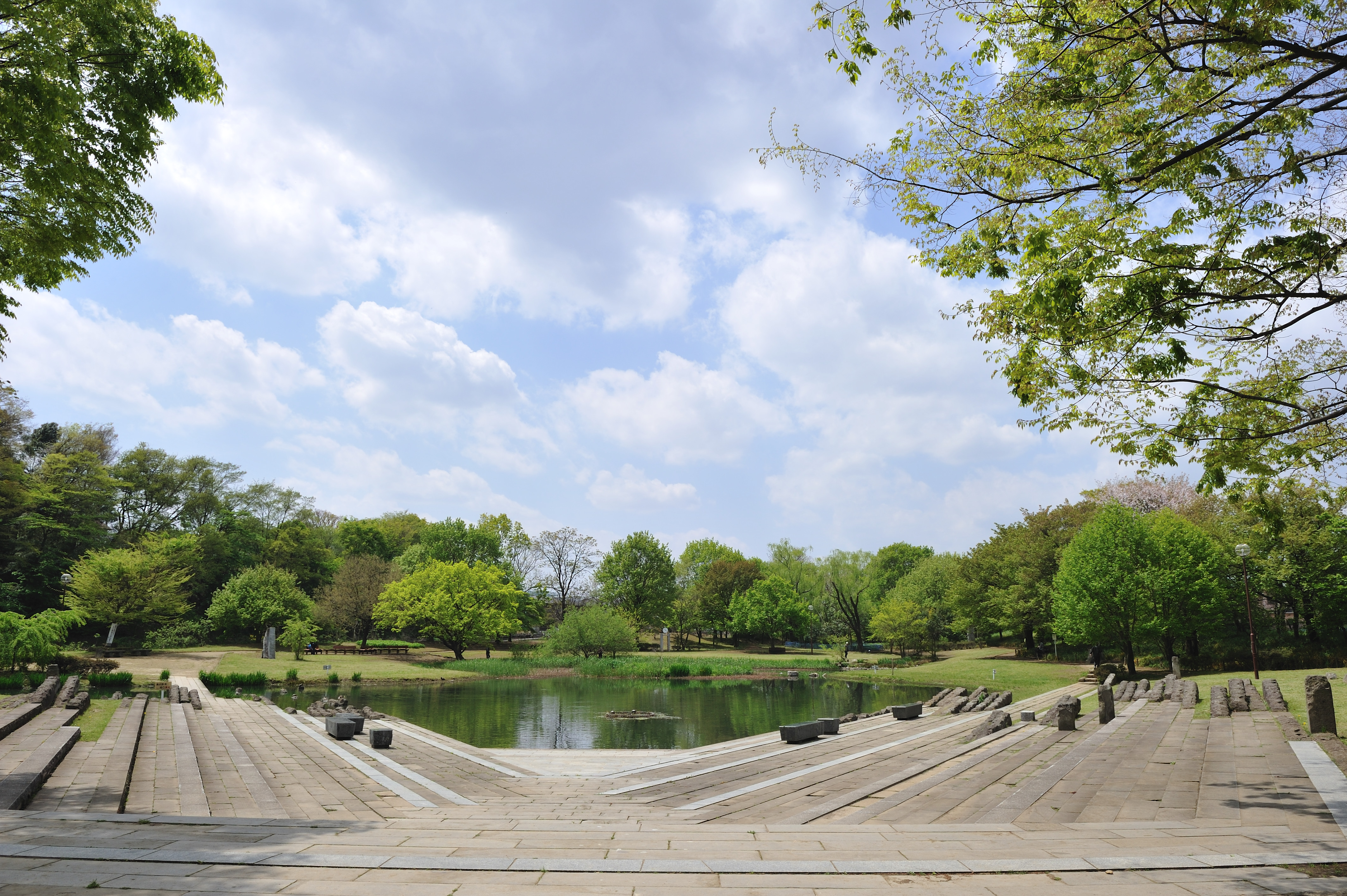 清瀬金山緑地公園のBbq・川遊び最新ガイド！ルールと混雑を徹底解説