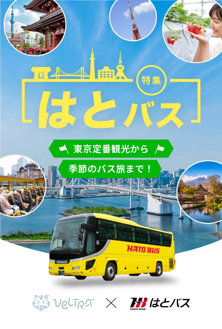 なぜ今再注目？はとバスツアー人気の真相と2026年最新活用法