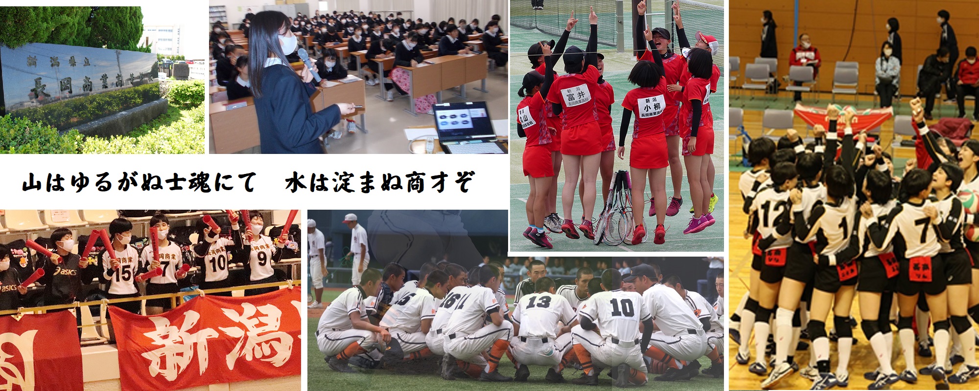 長岡商業高校の偏差値と倍率2026｜就職進学の強さと合格ボーダーの真相