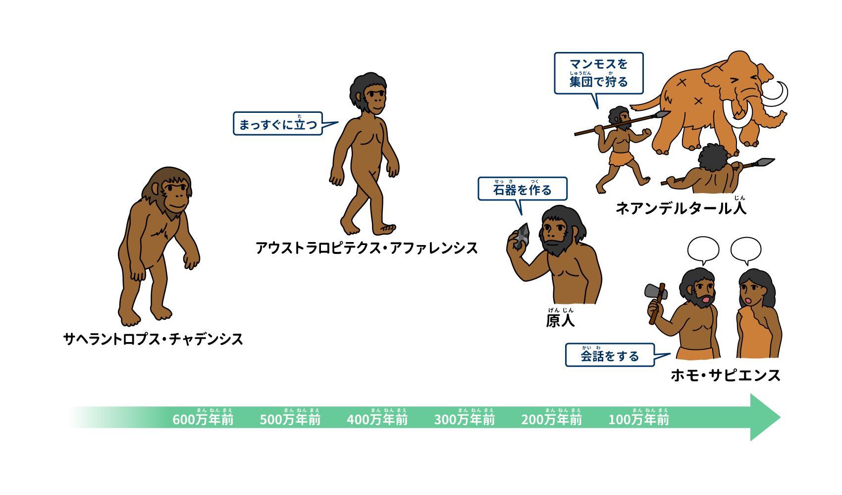 人類の進化は止まったのか？二足歩行の真実と2026年最新の未来予測