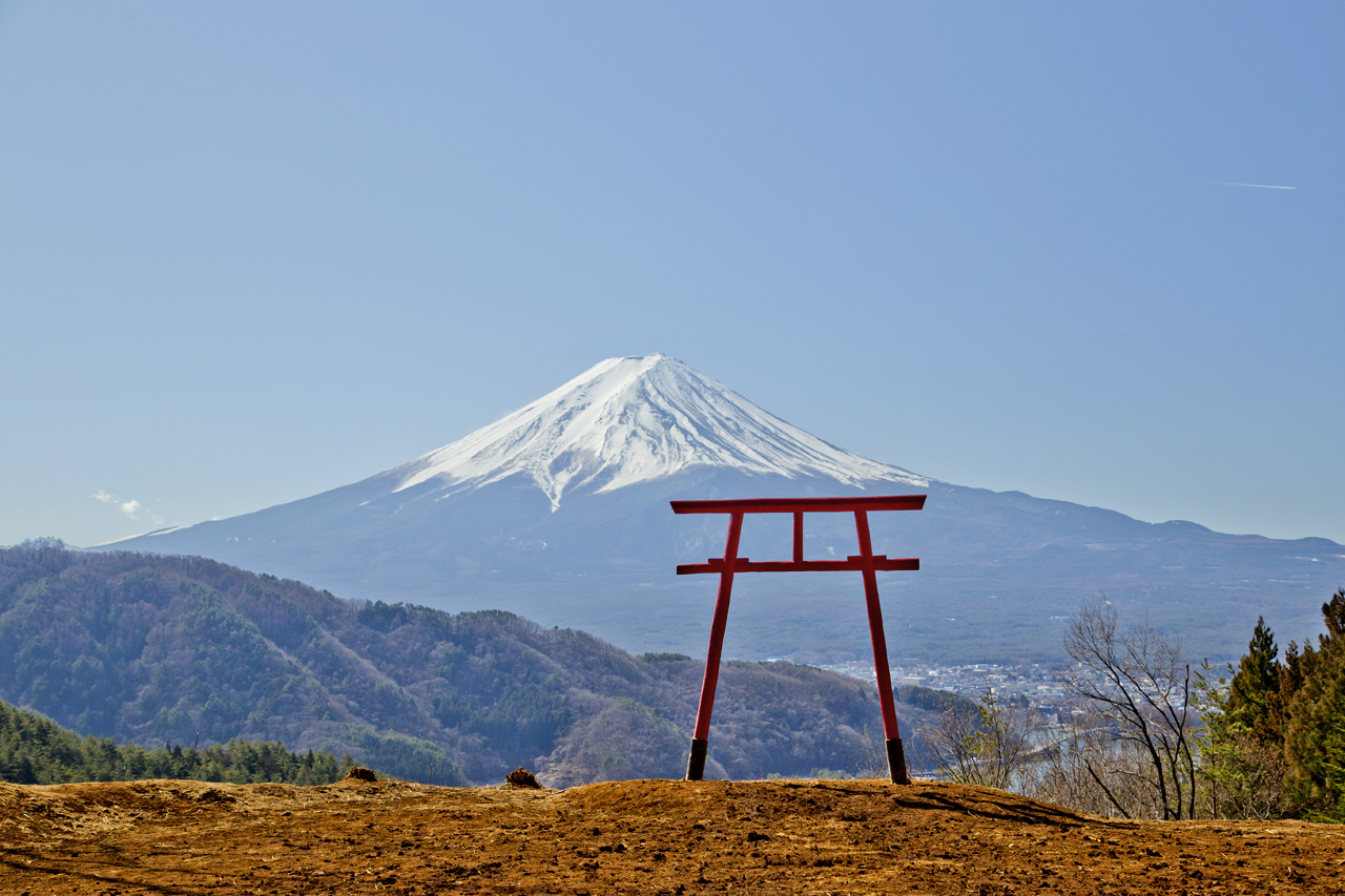 河口浅間神社「天空の鳥居」と七本杉の真価｜2026年最新参拝ガイド