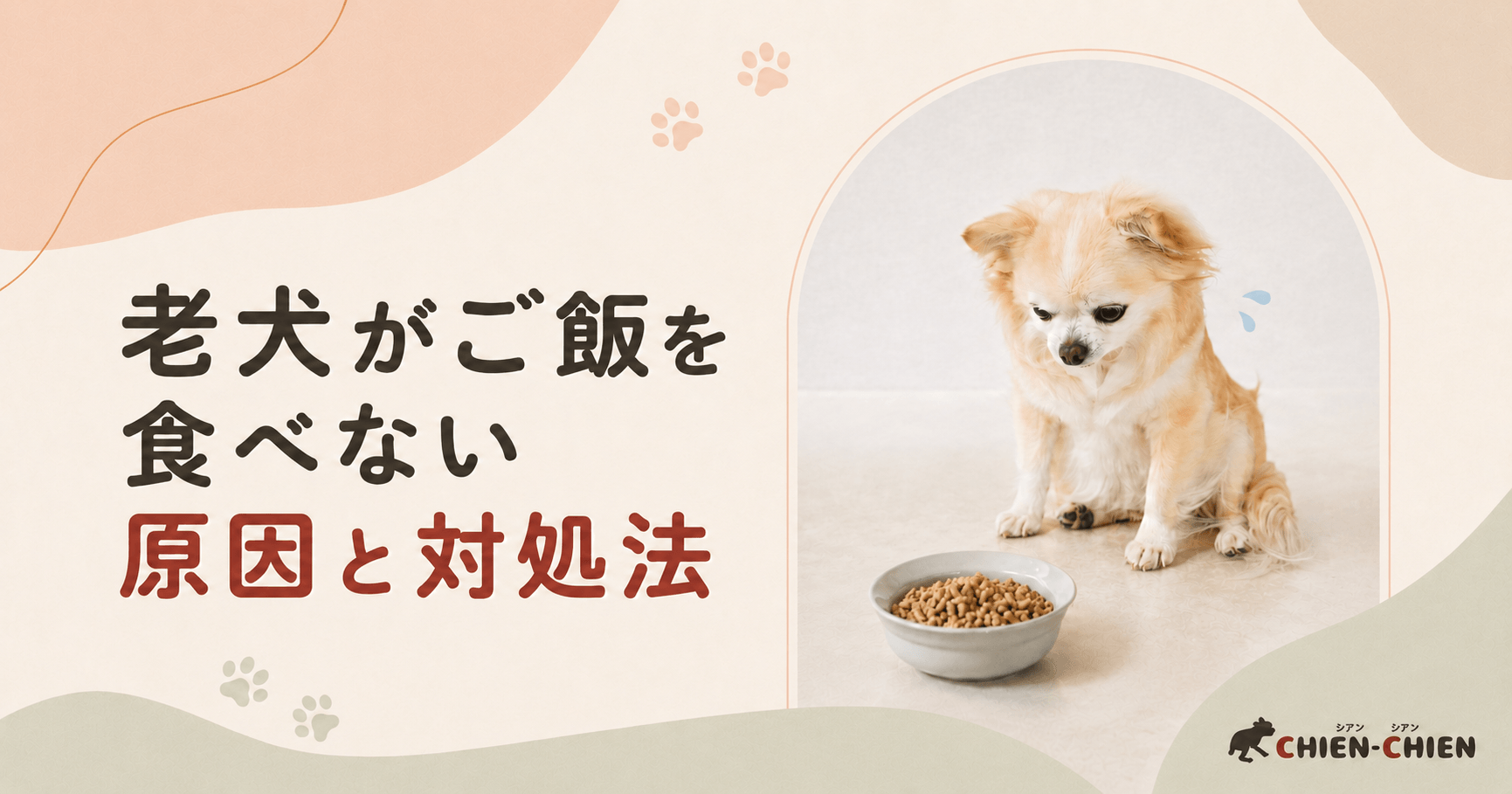 老犬がご飯を食べない時の余命は何日？看取りの前兆サインと終末期ケア