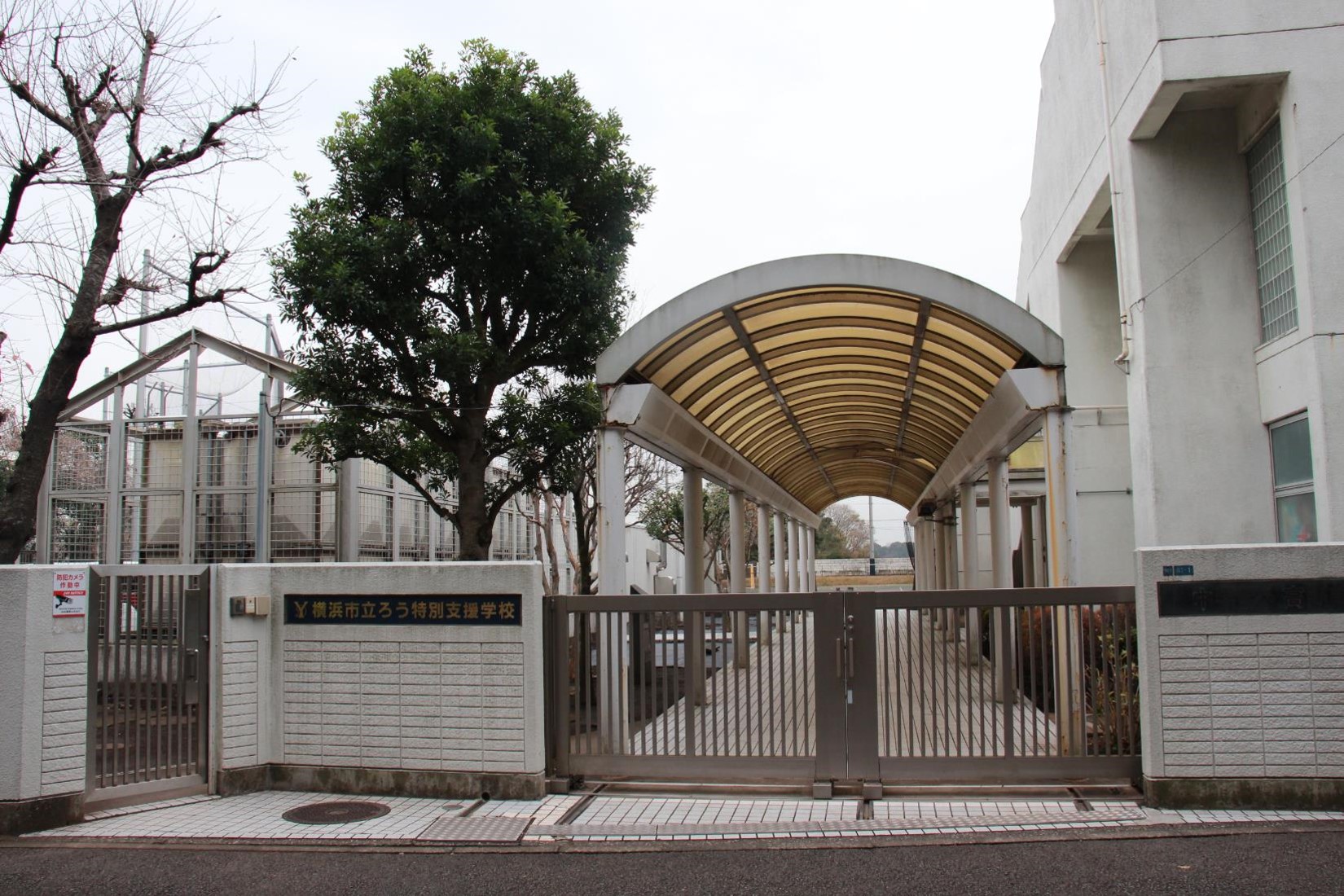 横浜市立ろう特別支援学校の評判と進路実績｜幼稚部から高等部の真実