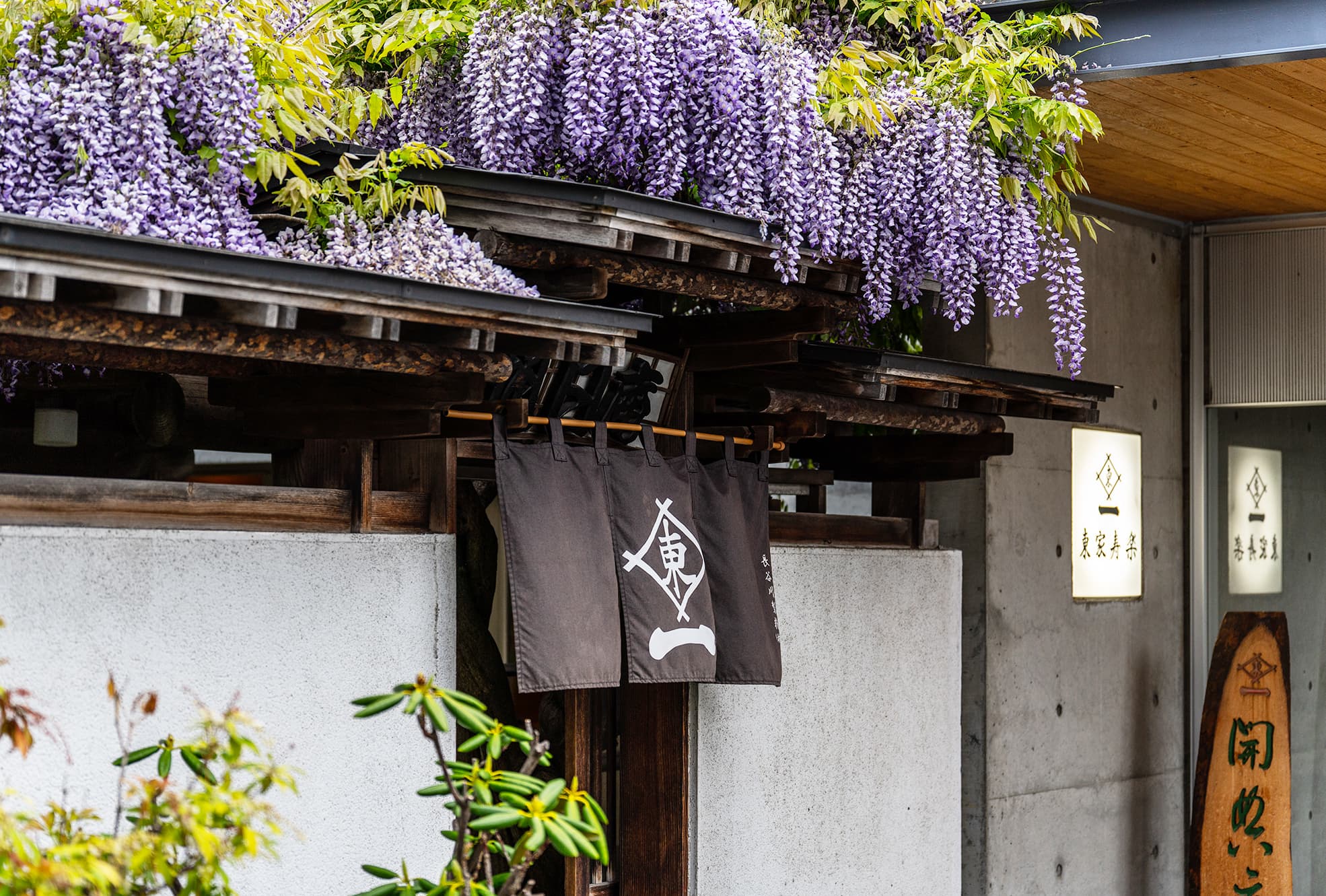 福井「いわし屋」の魅力とは？絶品刺身・名物から最新事情を解剖