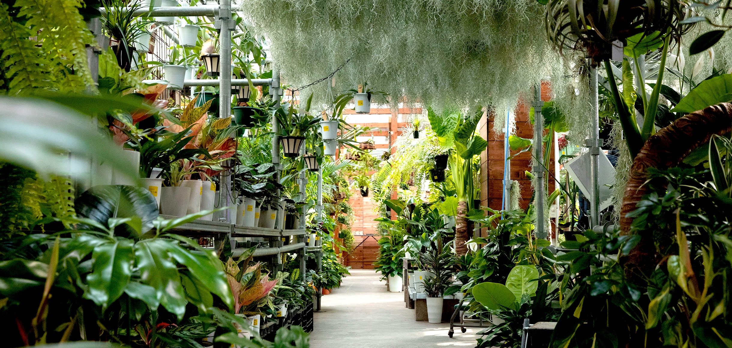 買える植物園オザキフラワーパークの熱狂と2026年最新攻略法