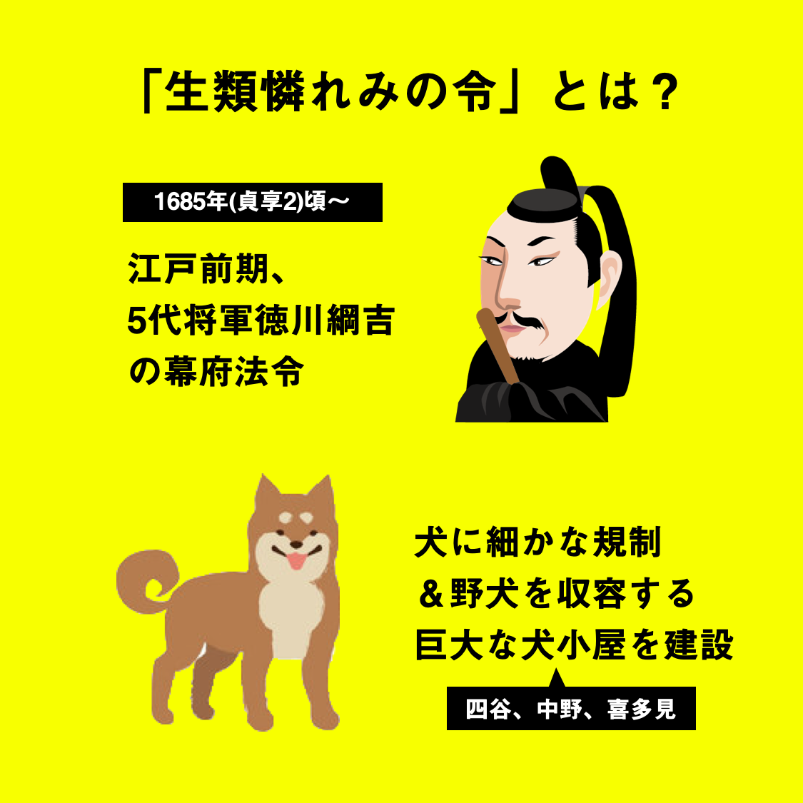 生類憐れみの令はなぜ出された？天下の悪法の真相と教科書の大転換