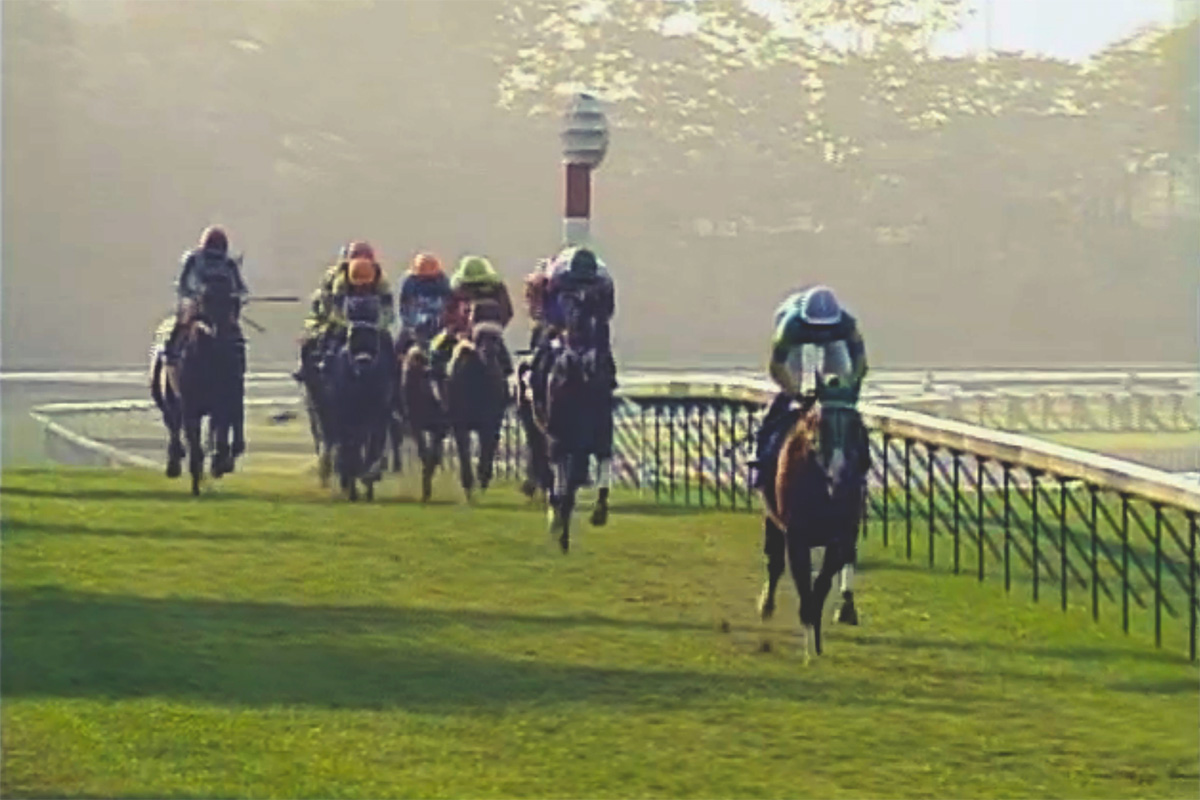 武豊と伝説の逃げ馬たち！天才のペース配分が刻む勝利の方程式