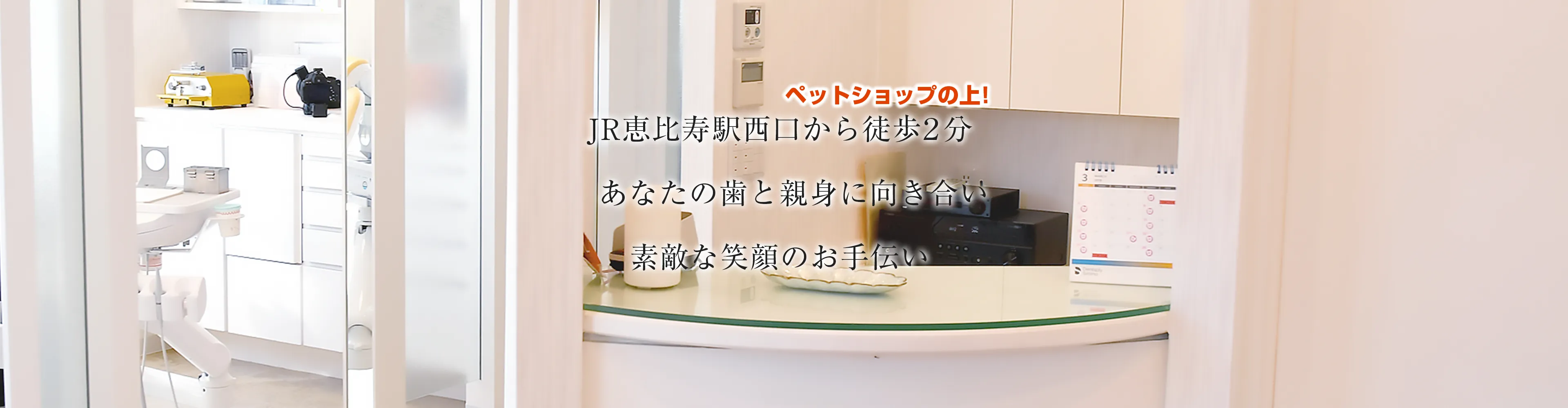 えびす矯正歯科の評判と費用の実態｜後悔しない選び方を徹底解剖