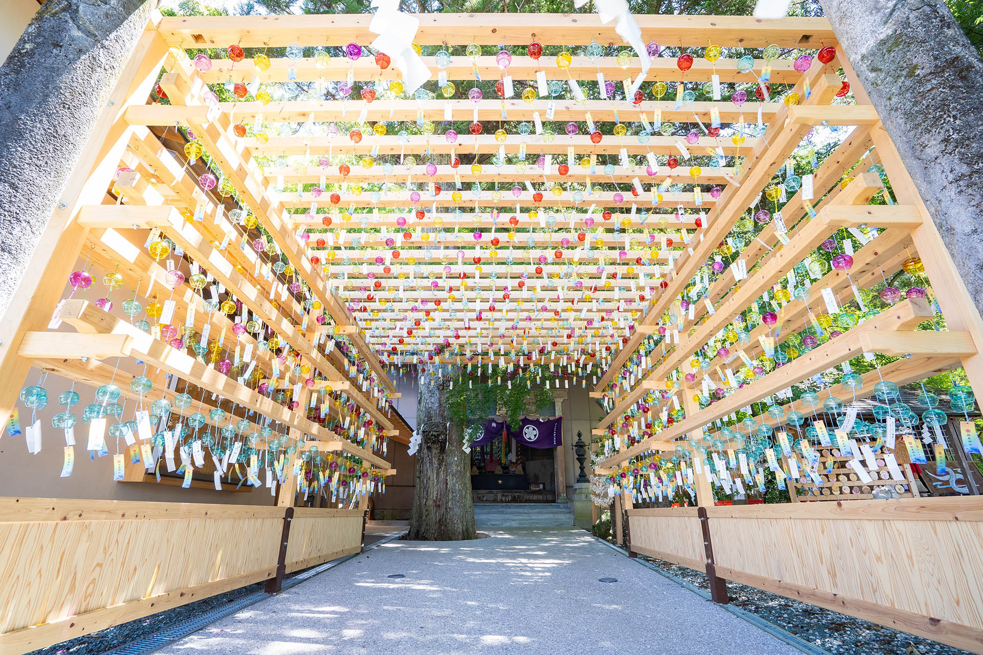高知・朝峯神社の謎とご利益｜2026年最新の歴史と参拝完全ガイド