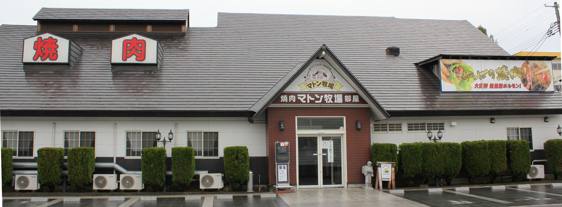 2026年マトン焼肉が大激変！ラムを超える旨味の真相と名店比較