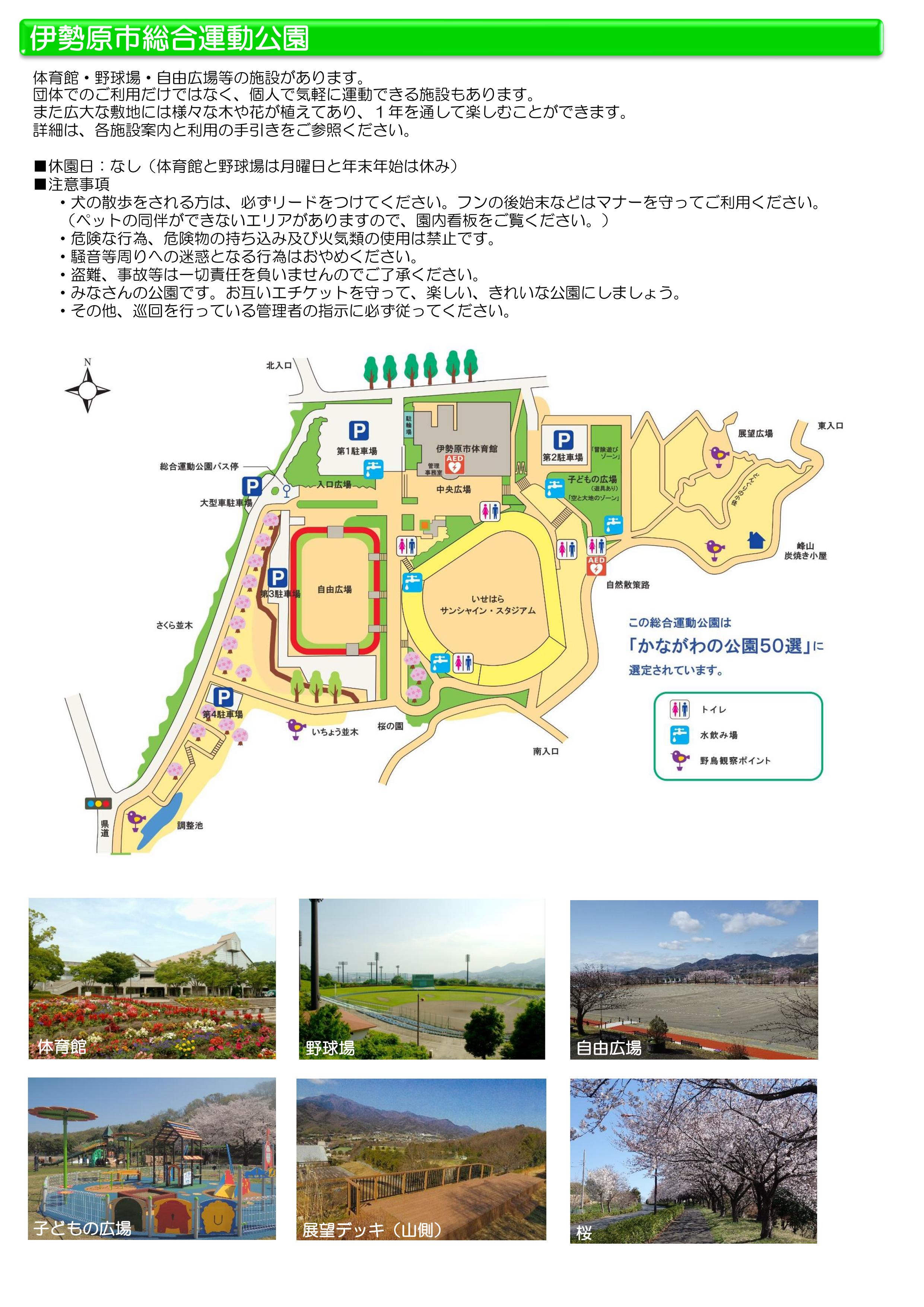 伊勢原市総合運動公園の全貌！巨大遊具と混雑・駐車場攻略の真実