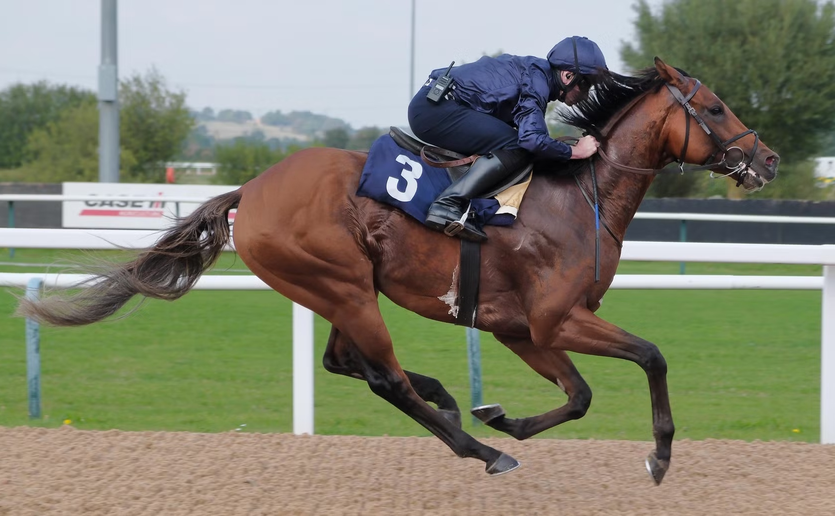 なぜ人は競馬に熱狂するのか？ギャンブルを超えた魅力と2026年最新の真相