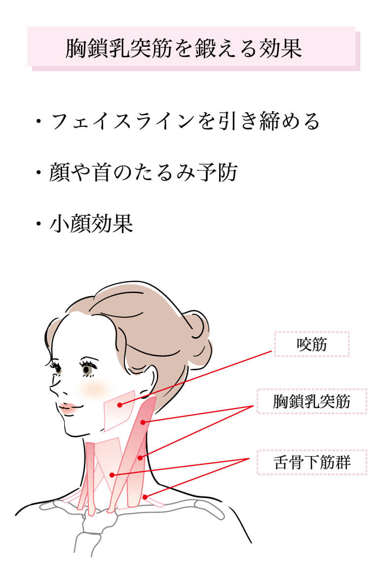 埋もれた美首筋を浮き出させる！胸鎖乳突筋の鍛え方と二重アゴ解消法