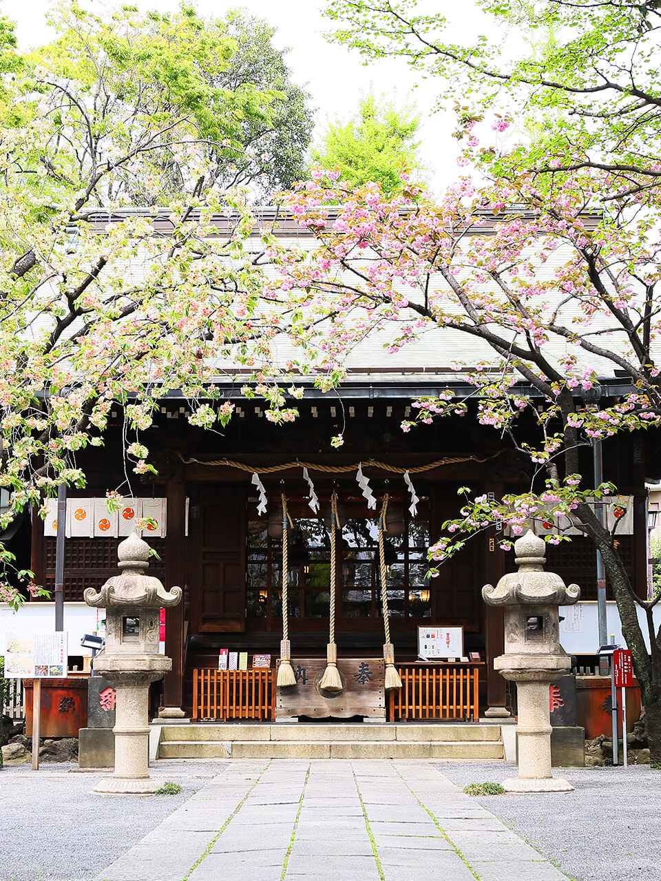 渋沢栄一翁が愛した西ヶ原・七社神社の全貌と2026年最新参拝ガイド