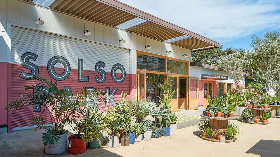 南青山Solso Parkが話題の理由！植物相場やカフェ・犬連れ情報