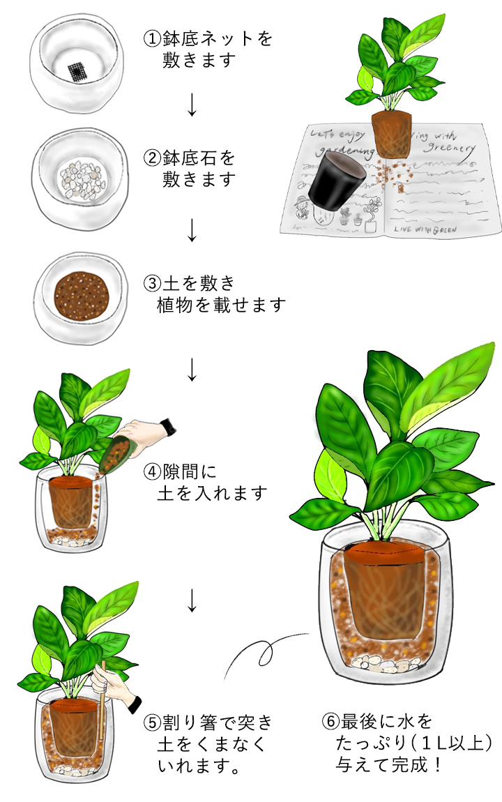 プランター植え替え完全ガイド！枯らさない時期と土の配合