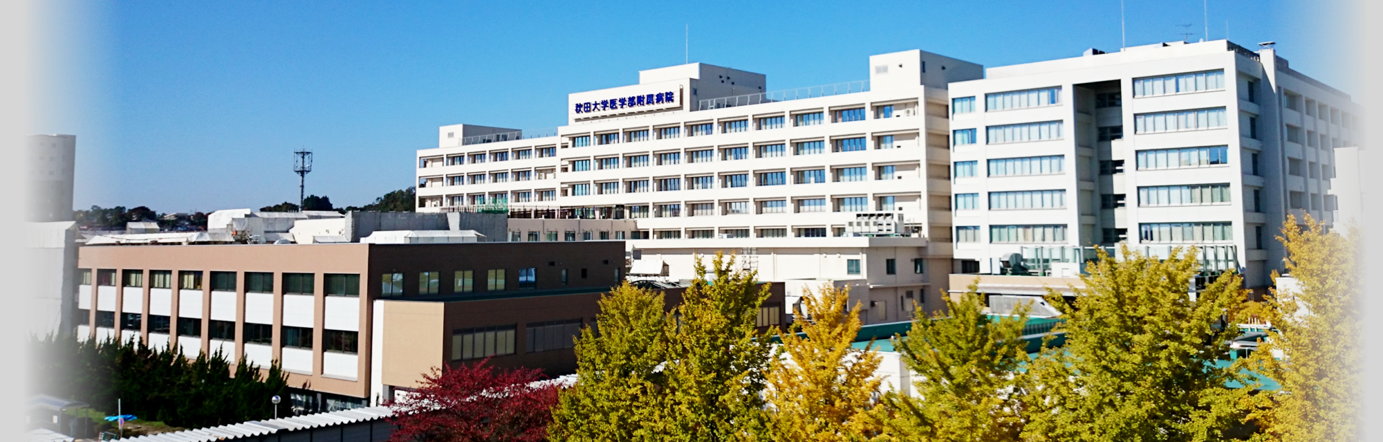 秋田大学病院の初診予約と紹介状の真実｜待ち時間や費用を徹底解剖