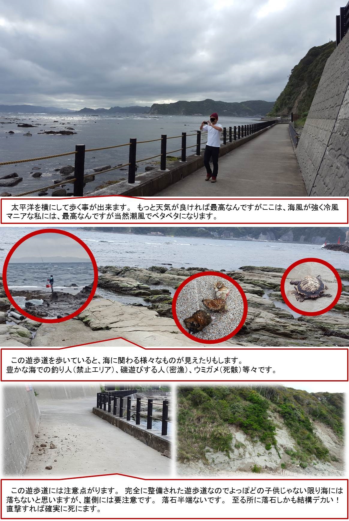 鯛の浦遊歩道の現在と通行止めの真相｜崩落の噂や再開見通しを徹底調査
