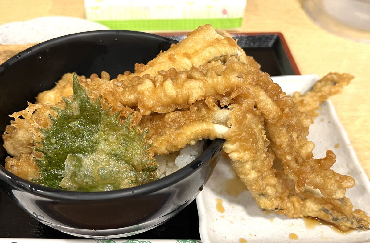 話題の魚食堂たわらを行列潜入調査！絶品海鮮定食と混雑回避術